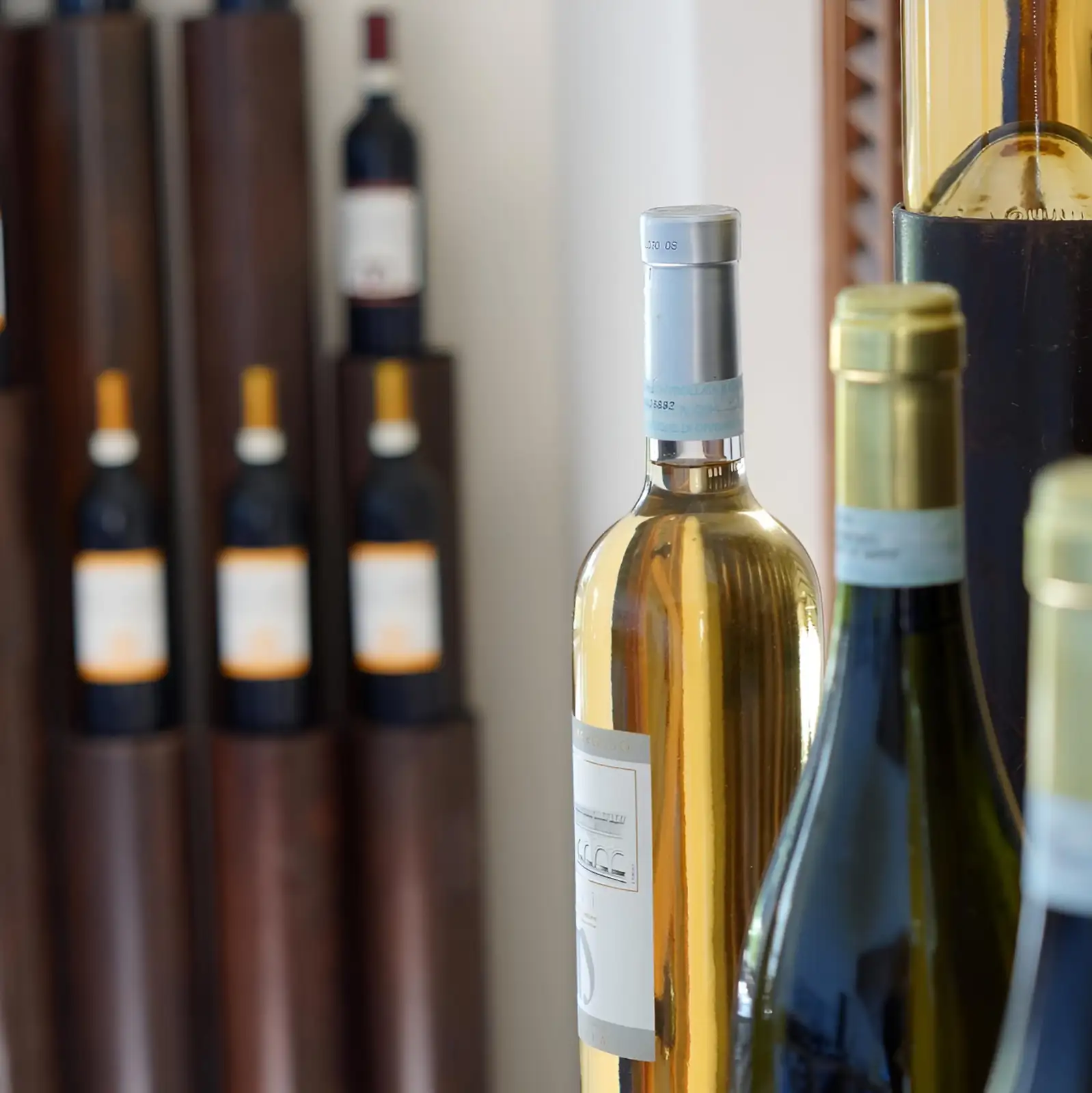 Bottiglie del Dominio Borgomonterosso in cantina, Acqui Terme